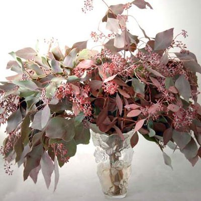 EUK.POP.FIORITO ASSOR. ROSSO