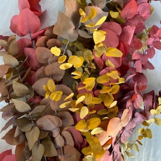 STUARTIANA STAB. 200 GR ARLEKI