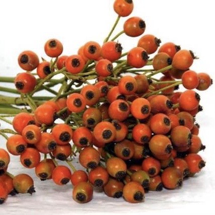 FRUTTUOSA ARANCIO 500GR