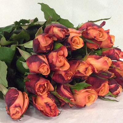 ROSE DA GIARDINO - Shop